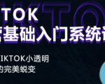 Tiktok实操进阶课程，体验从tiktok小透明到大佬的完美蜕变-虚拟资源库