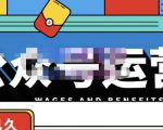 零零已久·从0-1运营公众号，零基础小白也能上手，系统性了解公众号运营-虚拟资源库
