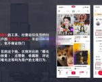 麦子互娱短视频带货·0基础做好物分享账号,无需出镜无需货源无需拍摄-虚拟资源库