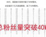 倪叶明·蓝海公众号矩阵项目训练营,0粉冷启动,公众号矩阵账号粉丝突破30w-虚拟资源库