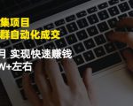 虚拟图集项目:矩阵站群自动化成交,3-5个月实现快速赚钱月入1W+左右-虚拟资源库