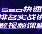 seo快速排名实战讲解视频课程,揭秘seo快排原理-虚拟资源库