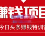 懒人领域·今日头条项目玩法,头条中视频项目,单号收益在50—500可批量-虚拟资源库