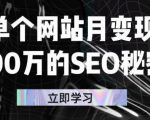 单个网站月变现100万的SEO秘密,百分百做出赚钱站点-虚拟资源库