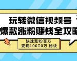 玩转微信视频号爆款涨粉赚钱全攻略,快速涨粉百万变现万元秘诀-虚拟资源库