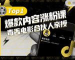【毒舌电影合伙人亲授】抖音爆款内容涨粉课,5000万抖音大号首次披露涨粉机密-虚拟资源库