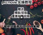 漆十二美食摄影,25节promovie实操高手课节-虚拟资源库