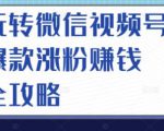 玩转微信视频号爆款涨粉赚钱全攻略,让你快速抓住流量风口,收获红利财富-虚拟资源库
