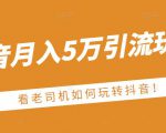 老古董·抖音月入5万引流玩法，看看老司机如何玩转抖音(附赠：抖音另类引流思路)-虚拟资源库