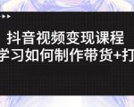 抖音短视频变现课程:带你学习如何制作带货+打造IP【41节】-虚拟资源库
