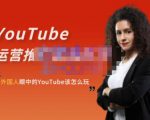外国人眼中的YouTube该怎么玩?Elisa·YouTube运营推广实战技巧-虚拟资源库