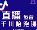 美尊-抖音直播运营千川系统课:直播运营规划、起号、主播培养、千川投放等-虚拟资源库