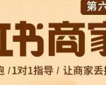 贾真-小红书商家营第6期商家版,21天带货陪跑课,让商家丢掉付流量-虚拟资源库
