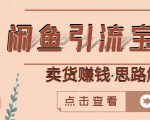 闲鱼引流宝妈粉+卖货赚钱一个月收益30000+(实操视频教程)-虚拟资源库