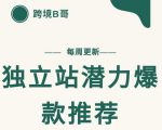 【跨境B哥】独立站潜力爆款选品推荐,测款出单率高达百分之80-虚拟资源库