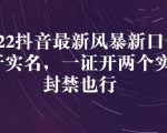 2022抖音最新风暴新口子:多开实名,一整开两个实名,封禁也行-虚拟资源库