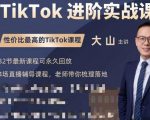 大山老师TikTok进阶实战课:账号详解,流量运营,实战变现,助力你成功出海-虚拟资源库