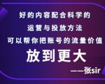 张sir账号流量增长课,告别海王流量,让你的流量更精准-虚拟资源库