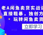 老A闲鱼卖货实战课，简单直接粗暴，独创方法带你玩转闲鱼卖货！-虚拟资源库