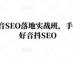王通·抖音SEO落地实战班,手手带你做好音抖SEO-虚拟资源库