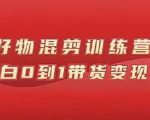 万三好物混剪训练营：小白0到1带货变现课-虚拟资源库