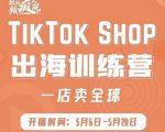 疯人院:TikTok Shop出海训练营(一店卖全球),出海抢占全球新流量-虚拟资源库