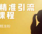 soul精准引流系列课程，每天引流100精准粉-虚拟资源库