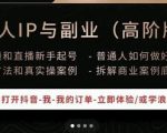 一舟一课个人IP与副业(高阶版),短视频和直播新手起号-普通人如何做好个人IP-虚拟资源库