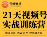 张萌21天视频号实战训练营,裂变涨粉、内容创作、视频号变现 价值298元-虚拟资源库