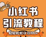 小红书运营引流全系列课程,每天引流100精准粉-虚拟资源库