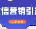 微信营销策划引流系列课程,每天引流100精准粉-虚拟资源库