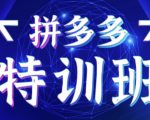 星雪教育·拼多多基础班+进阶班+突破班,用系统的学习模式快速改变现状价值3580元-虚拟资源库