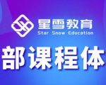 星雪教育淘系高级班,更全的运营提升方案,零基础由浅入深,店铺最新玩法-虚拟资源库