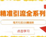 闲鱼精准引流全系列课程,每天引流100精准粉【视频课程】-虚拟资源库