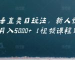 虚拟项目垂直类目玩法，新人快速起店，月入5000+【视频课程】-虚拟资源库