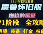 最新美服-怀旧服魔兽搬砖攻略,练级声望装备打金副本技能赚钱攻略-虚拟资源库
