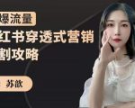 苏歆:小红书穿透式营销收割攻略,引爆流量,助你玩转小红书-虚拟资源库