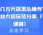 月入几万大店怎么操作？虚拟项目大店玩法分享【视频课程】-虚拟资源库