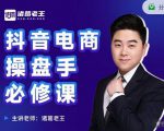 诸葛老王-抖音电商操盘手必修课:顶层设计,起号破局,爆款运营,数据分析-虚拟资源库