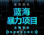 引流哥蓝海暴力躺赚项目:无需发圈无需引流无需售后,每单赚50-500(教程+线报群)-虚拟资源库
