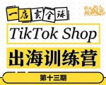 TikTokShop出海训练营(第十三期),打开全球流量新思维,出海抢占全球新流量,一店卖全球-虚拟资源库