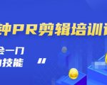 抖音视频一分钟PR剪辑培训：学会一门赚钱的技能，每节课短小精悍-虚拟资源库