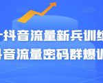Peter抖音流量新兵训练营-破解抖音流量密码群爆训练营(新兵)-虚拟资源库