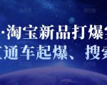 凌童·淘宝新品打爆实战班,直通车起爆、搜索起爆-虚拟资源库