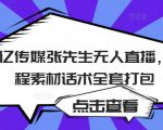 聚亿传媒张先生无人直播,教程素材话术全套打包-虚拟资源库