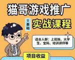 猫哥·游戏推广实战课程，单视频收益达6位数，从0到1成为优质游戏达人-虚拟资源库