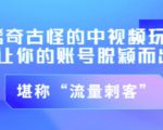 不讲李·稀奇古怪的冷门中视频冷门玩法,让你的账号脱颖而出,成为流量刺客!(图文+视频)-虚拟资源库