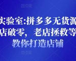野路子实验室:拼多多无货源店群项目，新店破零，老店拯救等全方位教你打造店铺-虚拟资源库