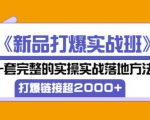 凌童《新品打爆实战班》,一套完整的实操实战落地方法，打爆链接超2000+（28节课)-虚拟资源库