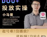 小马哥-Dou+投放实操课，抖加投放，随心推，付费起号逻辑，打破低播放转化-虚拟资源库